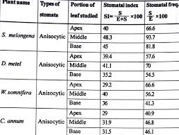 Image result for Stomatanthes sp.no.1
