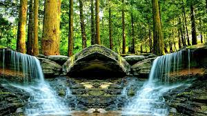 No restrooms or water is available at this park. Angola Wallpapers Wallpaper Cave