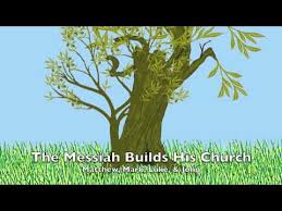 Etz Zayit Worship Videos Olive Tree Illustration