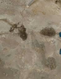 Imagine life floor tiles as the super baby to rubber and foam, which makes them the best flooring option around pools and in areas where a lot of water is present. Damp Patches In Basement Floor Home Improvement Stack Exchange