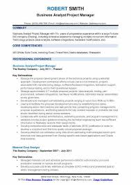 business analyst project manager resume