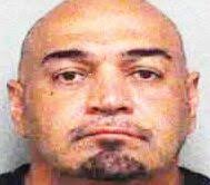 Harley pleads guilty to murder