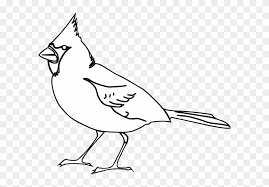 7 bird cage scrap pictures! Cardinal Bird Clipart Illustration Black And White Cardinals Clipart Free Transparent Png Clipart Images Download