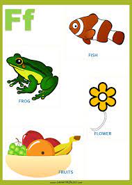 Most people hear the name, and they think it's not real. a post shared by elan gale (@theyearofelan) Words Starting With Letter F For Kids Smart Kindergarten Kids