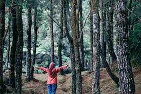 Malaysia is one of few countries in asia where foreigners can buy land. How To Buy Land In Malaysia Iproperty Com My