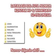 Pastikan jika nomor hp kamu dan target adalah telkomsel. Jual Dvd Isi 300 Juta No Hp Dan Wa Se Indonesia Kab Ponorogo Sanggar Bisnis Tokopedia