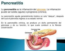 Pin En Bienestar Y Salud