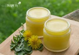 Jul 18, 2018 · dandelion leaves, stems and flowers are often consumed in their natural state and can be eaten cooked or raw. 12 Things To Make With Dandelion Flowers