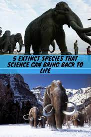 5 Extinct Species That Science Can Bring Back To Life Weird World Life Species