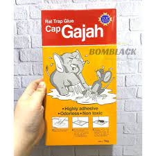 We did not find results for: Lem Tikus Cap Gajah Jebakan Tikus Perangkap Tikus Model Buku Papan Shopee Indonesia