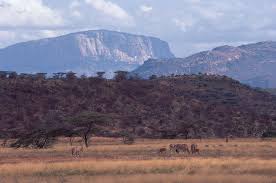 More than half of the african continent is covered by grassland or savannah. 8 Amazing Physical Features Of Africa Britannica