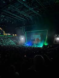 AO Arena, block 113, row N, seat 17 - 5 Seconds Of Summer tour: The 5  Seconds Of Summer Show, shared by rokiisan