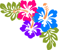 Hawaiian Flower Border Clip Art Clipart Panda Free Clipart Images Hibiscus Clip Art Free Clip Art Clip Art Borders