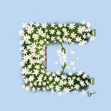 m o l l y on instagram 4 37 新挑戰 注音符號角色設計女鞋案子暫時告一段落現在進入後期階段 希望可以順利結案 腦海早就想畫這位滿滿小雛菊的新角色 希望你們也一樣喜歡 moi mc art dais artwork decor instagram