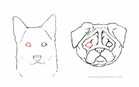 Hi docies (my community)today i'll draw two blue cute eyes in this video with procreate so let's go !this is my second video of drawing eyes.& the first one. The Ultimate Guide To Drawing Dog Eyes Get The Basics Right So Your Rendering Doesn T Fall Flat