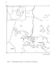 Image result for Trichoneura schlechteri