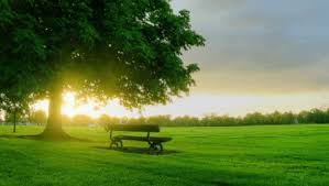 Lewat puisi yang bertema tentang alam dan lingkungan ini, dimana terdapat syair yang indah dan penuh dengan perasaan dari hati setiap penulisnya. Kumpulan Puisi Lingkungan Tentang Peduli Alam Puisi Kebersihan Lingkungan