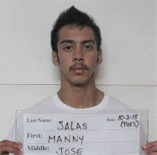 Manny Jose Salas charged in rental car theft while