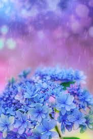 三重フォトギャラリー