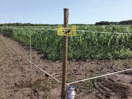 Gardeners.com has been visited by 10k+ users in the past month Electric Fences Could Be An Easier Way To Keep Deer Out Of Gardens Manitoba Co Operator