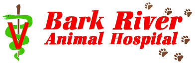 Dousman Wi 53118 Veterinarian Bark River Animal Hospital