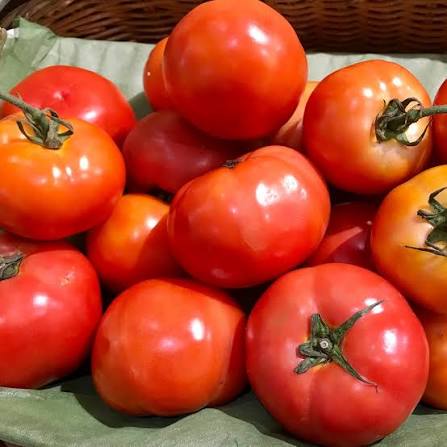 Tomato 'Red Russian' – Green Harvest