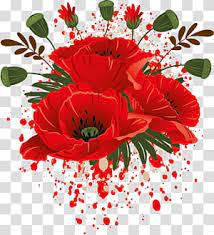 Poppy Garden Roses Flower Drawing Red Flower Transparent Background Png Clipart In 2020 Rose Flower Png Flower Drawing Family Flowers