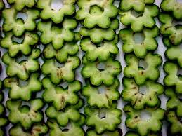 How is the ceremony?| the dried green fabric is put in a large pot with three times as much water as san pedro. Effects And Uses Of Little Known Drugs Drug 7 Cactus San Pedro Steemkr