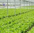 OEM für Anwendungen in der Landwirtschaft und Agrarindustrie ...