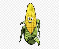 Stir sugar into water to dissolve; Corn On The Cob Dibujo Mazorca Amarilla Clipart 537903 Pinclipart