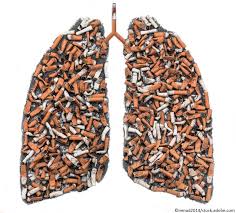 Smoking tobacco is the number one risk factor for lung cancer. Social Smoking Linked To Disproportionately High Risk Of Death From Lung Disease Lung Cancer
