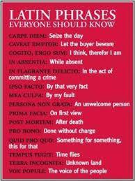Latin The Pro Bono One Is Kind Of Wrong Technically It Says For Good Frases Latinas Escribiendo Consejos Aprender Italiano