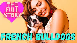 The Best 18 Months Of Our Lives! My Baby and Dogs Grow Up Together