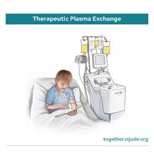 Image result for Plasma Transfusion