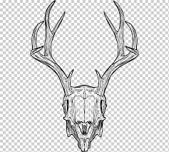 Jackalope Skull Antler Horn Drawing Skull Antler Mammal Monochrome Png Klipartz Buy the jackalope throw pillow by blackbearwhitebear. jackalope skull antler horn drawing