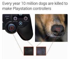 Stop Animal Cruelty Daily Lol Pics