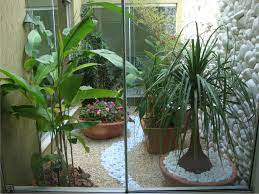 jardim interno 3 1 jpg 1574 1181 jardim de inverno jardin de inverno jardim de inverno pequeno