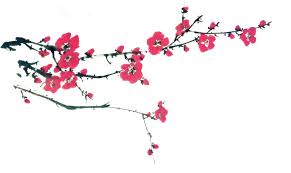 Chinese cherry blossom paintings, china cherry blossom art. Chinese New Year Flower Background 1698 1013 Transprent Png Free Download Plant Flower Blossom Cleanpng Kisspng