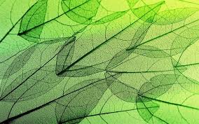 Choose from a curated selection of windows 10 wallpapers for your mobile and desktop screens. Neue Wallpaper Sets Fur Windows 10 Im Microsoft Store Windowsunited