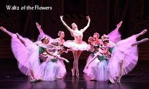 Remaking all of the costumes used in the act ii scene waltz of the flowers. that includes the corps de ballet's flower costumes and the costumes for dewdrop, a principal role. Bmn Waltz Of The Flowers