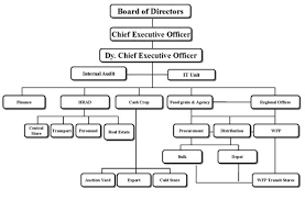 Organization Structure Fcb
