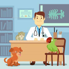 Veterinary Office With Doctor And Pets Veterinaria Veterinaria Dibujo Consultorio Veterinario