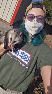 I tried. Put out grapes, banana, and sweet potato. Larry ate cat food. Will  try yogurt and chicken next. I'm sure cats will eat it before Larry gets a  chance