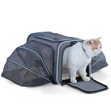 Base camp combo carrier bag & mesh cat crawl by jackson galaxy. The 8 Best Cat Carriers