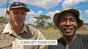 The Glen Heath Tuli Stud Sale 2024