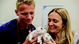 Scott treats a wide variety of animal patients from cats and dogs to. Scott Miller On Balancing Media Work With Clinical Practice Vet Record Careers