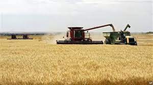 Its productivity is such that calpheon has never had a single instance of food shortage, even during the war on serendia. Wheat Farming In Kenya