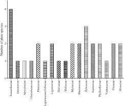 Image result for Macrotyloma maranguense