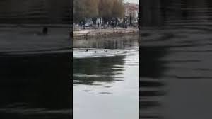 Επιγραφή κλασικών χρόνων που αναφέρει το τοπωνύμιο «αμάρυνθος» εντοπίστηκε σε ανασκαφή στα παλαιοχώρια, δύο χλμ. Sto Kat Me Sobaro Katagma O 30xronos Poy Boyth3e Sta Nera Ths Amaryn8oy In Gr
