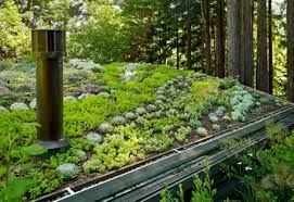 Maybe you would like to learn more about one of these? Mill Valley Cabins Feldman Architecture Inhabitat Green Design Innovation Architecture Green Building